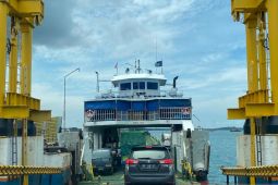 Penumpang feri Bintan-Batam antre 2-3 jam di pelabuhan