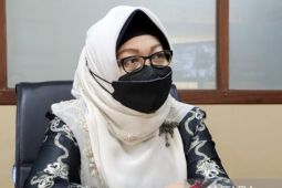 Kadis: UU TPKS diharapkan bisa kurangi kasus kekerasan seksual
