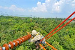 PLN lakukan penguatan instalasi konduktor 150 kV jaringan Pulau Madura