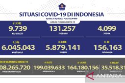 DKI Jakarta dan Jawa Barat dominasi kasus transmisi lokal harian