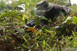 Batalion Infantri 600 Raiders  siap berangkat tugas ke Papua