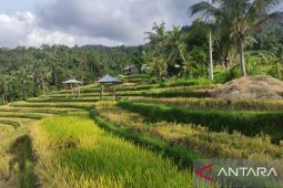 Mengintip kesiapan tiga Desa Wisata di Buleleng sambut kunjungan delegasi G20