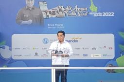 Menteri BUMN perkirakan penerbangan kembali normal enam bulan ke depan