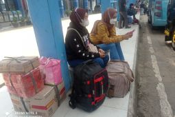 Cerita Eni dan Rob kakak beradik yang senang bisa mudik