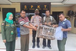 Polisi serahkan satwa trenggiling temuan warga kepada BKSDA