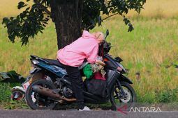 Arus mudik Pantura ramai lancar