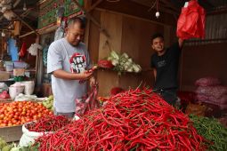 Permintaan meningkat, harga cabai hijau naik di Banda Aceh