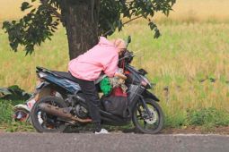 Mudik gunakan sepeda motor hemat berkali-kali lipat