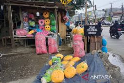 Penjual "bantal mudik" raup keuntungan jelang Hari Raya Idul Fitri