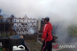Pemkot Denpasar lakukan "fogging" antisipasi demam berdarah