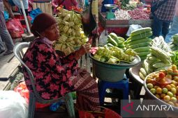 Pedagang sarang ketupat di Ambon panen rejeki jelang Lebaran