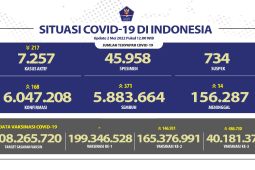 Kasus aktif harian COVID-19 di RI turun 217 pada Senin