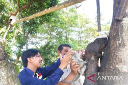 Mukomuko dapat penambahan vaksin cegah rabies