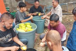 Pemuda Lampoh Daya gelar tradisi "meurujak uroe raya"