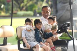 Jokowi isi Lebaran dengan bermain bersama cucu-cucu
