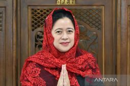 Puan Maharani dukung KPK gelar program pelatihan bagi parpol