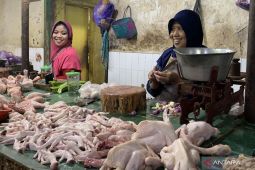 BPS: Daging ayam ras hingga emas picu inflasi bulanan di Kota Malang