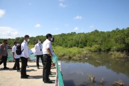Menko Luhut tinjau Mangrove Tahura dan GWK pastikan kesiapan sambut KTT G20