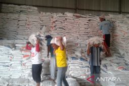 Bulog Rejang Lebong serap 147 ton beras petani