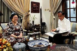 Pengamat nilai pertemuan Jokowi dan Megawati merupakan hal positif