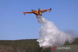 Angin kencang hentikan pemadaman kebakaran hutan di New Mexico