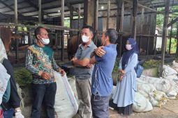 Banjarmasin bentuk tim terpadu periksa hewan ternak dari penyakit mulut dan kuku