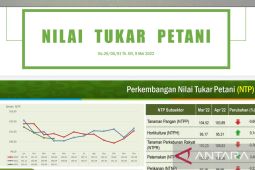 Nilai tukar petani Papua Barat turun 0,7 persen di periode April