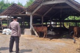 Satgas Pangan Polda Jatim bantu antisipasi penyebaran wabah PMK