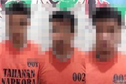 Polres HST tangkap tiga TSK kasus narkoba di Pajukungan