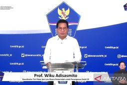 Indikator COVID-19 di 8 provinsi  tujuan mudik alami tren bervariasi