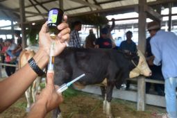 Pemkab Aceh Timur wajibkan hewan kurban miliki surat keterangan sehat