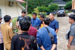 Jurnalis di Pasaman desak dinas terkait pelihara pohon pelindung