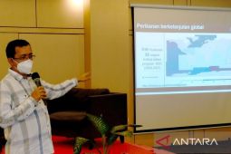 MSC: Mimpi Hawis H Maddupa rajungan Madura raih ekolabel tetap hidup