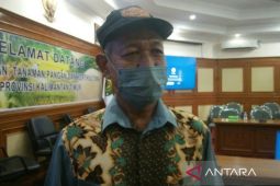 Kementan bantu 200 sapi untuk Desa Labangka Barat PPU