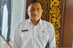 Dinkes minta dokter anak di Bali aktif deteksi dini gejala hepatitis akut