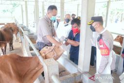 MUI Situbondo ingatkan umat muslim soal fatwa hewan kurban