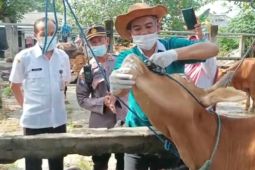 Pemkot Kediri perketat lalu lintas penjualan hewan ternak luar daerah