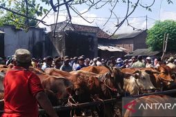 Nihil kasus PMK, Pemkab Probolinggo tidak tutup pasar hewan
