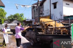 DKPP Kabupaten Kediri dirikan "check point" cegah penyebaran PMK