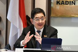 G20 Indonesia  --  B20 pushes public-private cooperation on energy transition