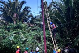 PLN tambah pembangkit 20 MW atasi krisis kelistrikan di Ambon