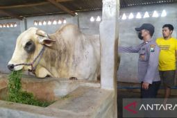 DKPH dan Polres Probolinggo sasar kandang komunal antisipasi PMK