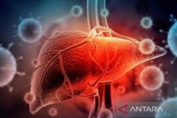 Kemenkes RI: gejala berat hepatitis akut misterius muncul dalam dua pekan