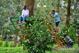 Pemkab Bogor berupaya kembalikan daya pikat Puncak di mata mancanegara