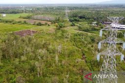 PLN: Sistem looping jaringan perkuat keandalan listrik Kalseltengtim