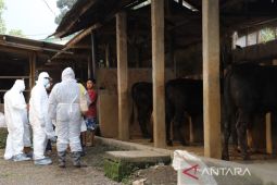 Pemkab Garut bentuk satgas atasi wabah PMK yang melanda hewan ternak