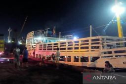 Bangka Belitung pastikan pasokan sapi Lampung untuk Idul Adha aman
