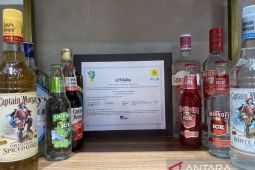 PLN dorong "Listrik Hijau" lewat REC