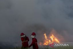 BPBD Sumsel petakan tujuh kawasan rawan karhutla 2022