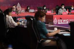 Indonesia usulkan empat prinsip ukuran literasi digital saat DEWG G20
